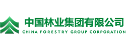 Partners 06